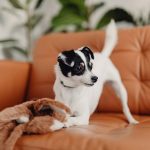 How To Choose The Right Hosting For Your Blog